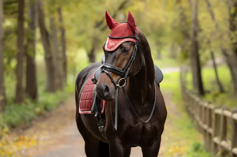 LeMieux Loire Fly Hood in Russet-2