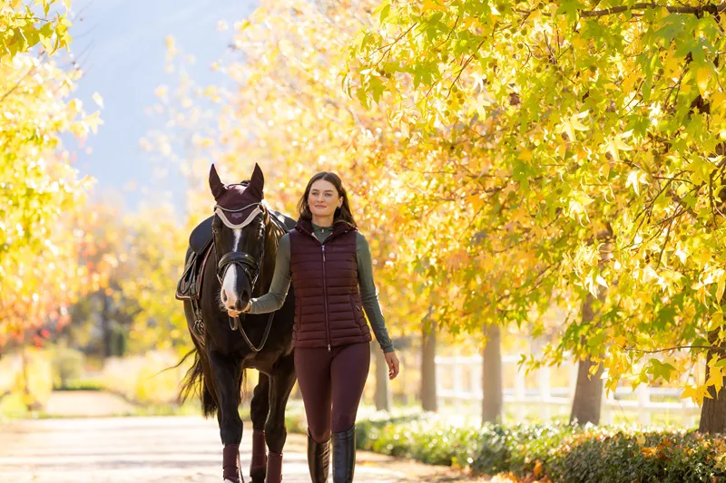 LeMieux Loire Fly Hood in Damson-1