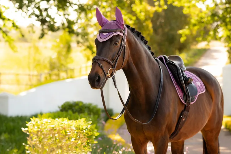 LeMieux Loire Fly Hood in Mallow-1