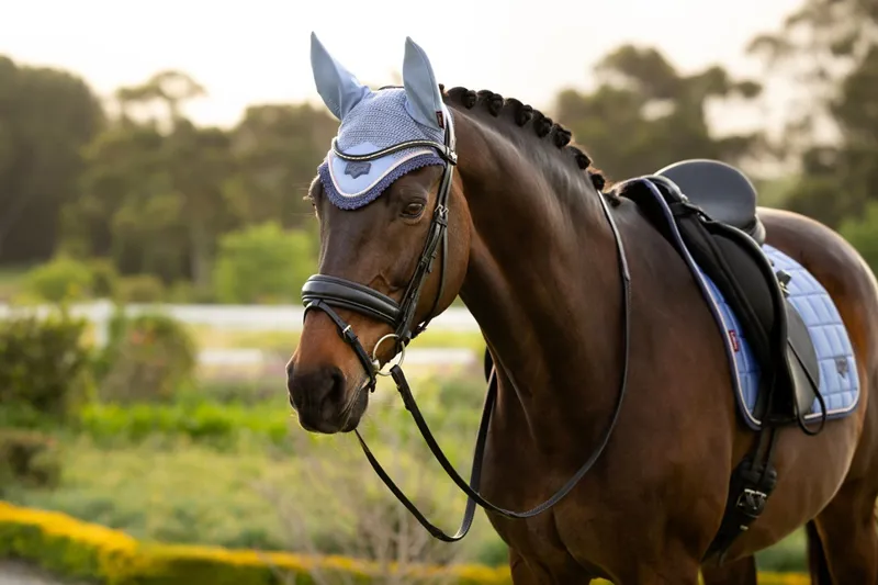 LeMieux Loire Fly Hood in Powder Blue-2