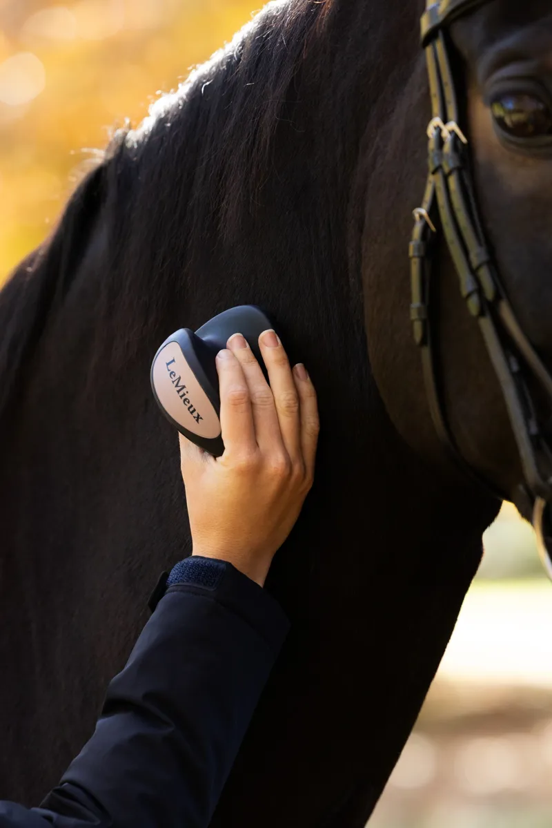 LeMieux Massage Brush in Navy-1