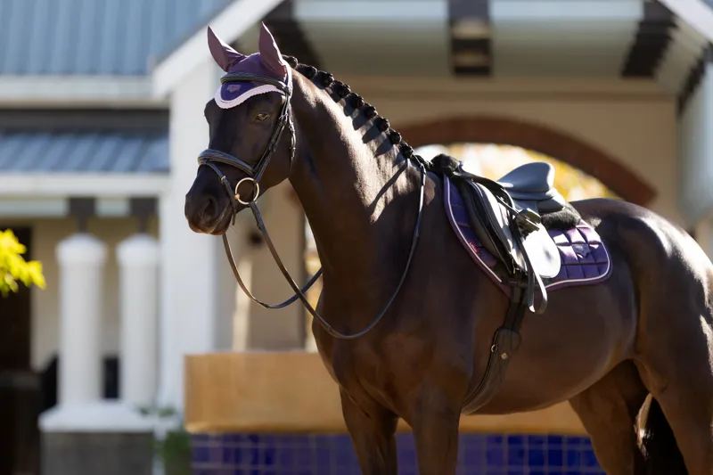 LeMieux Merino+ Loire Classic Close Contact Square in Juniper-1