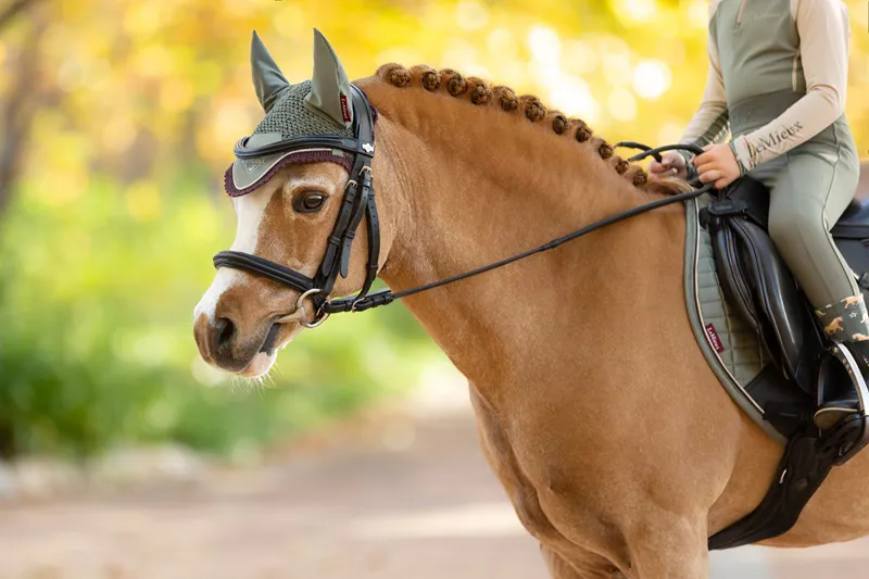 LeMieux Mini Classic Fly Hood in Rosemary-2