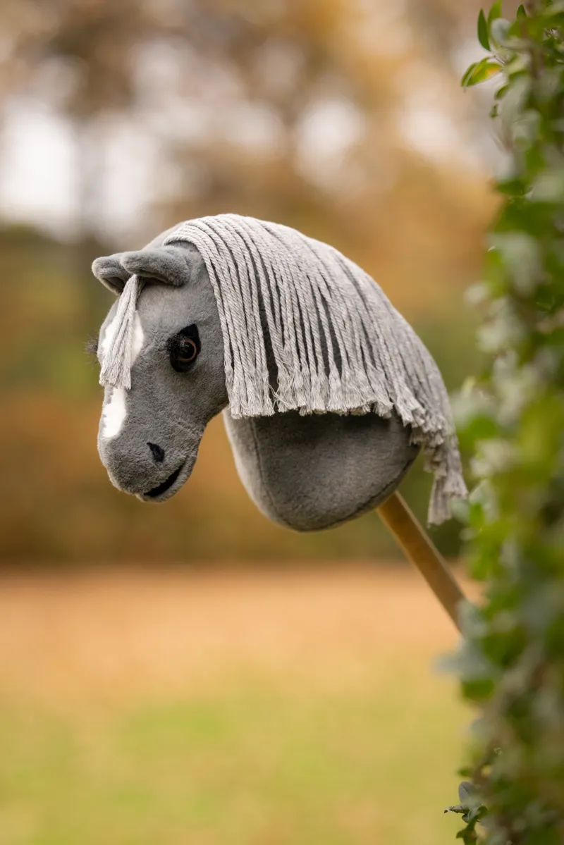 LeMieux Mini Hobby Horse Smokey-1