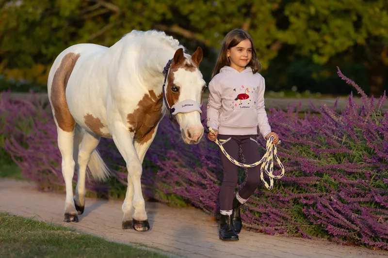 LeMieux Mini Romi Hoodie in Lilac-4