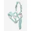 LeMieux Mini Vogue Headcollar Set in Aqua