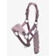 LeMieux Mini Vogue Headcollar Set in Mallow