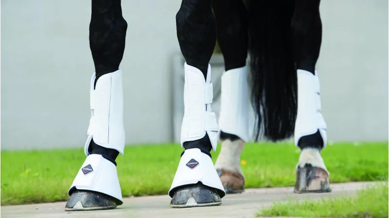 LeMieux Schooling Boots in White-2