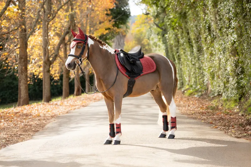 LeMieux Suede Close Contact Saddle Pad in Russet-2