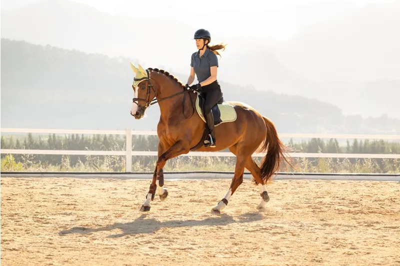 LeMieux Suede Close Contact Square in Macaron-1