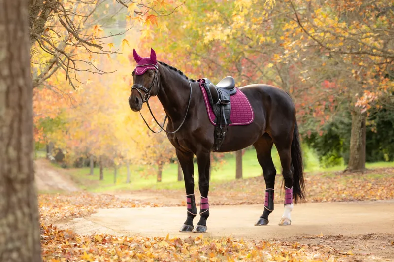 LeMieux Suede Dressage Saddle Pad in Blackberry-1