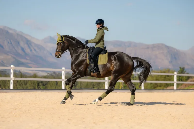 LeMieux Suede Dressage Saddle Pad in Gooseberry-2