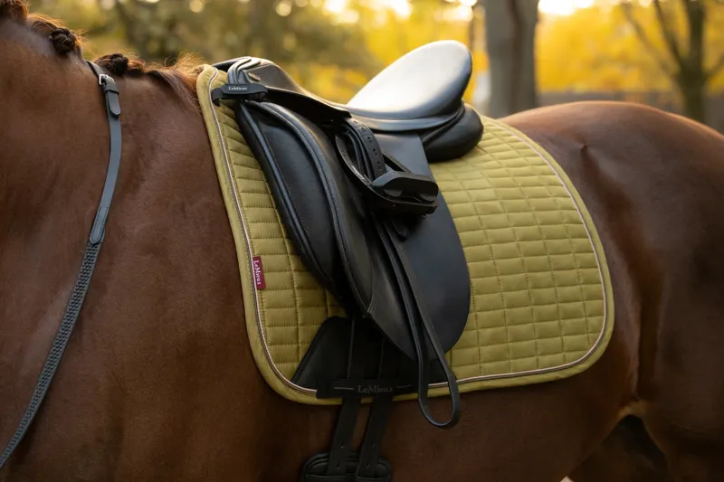 LeMieux Suede Dressage Saddle Pad in Gooseberry-3