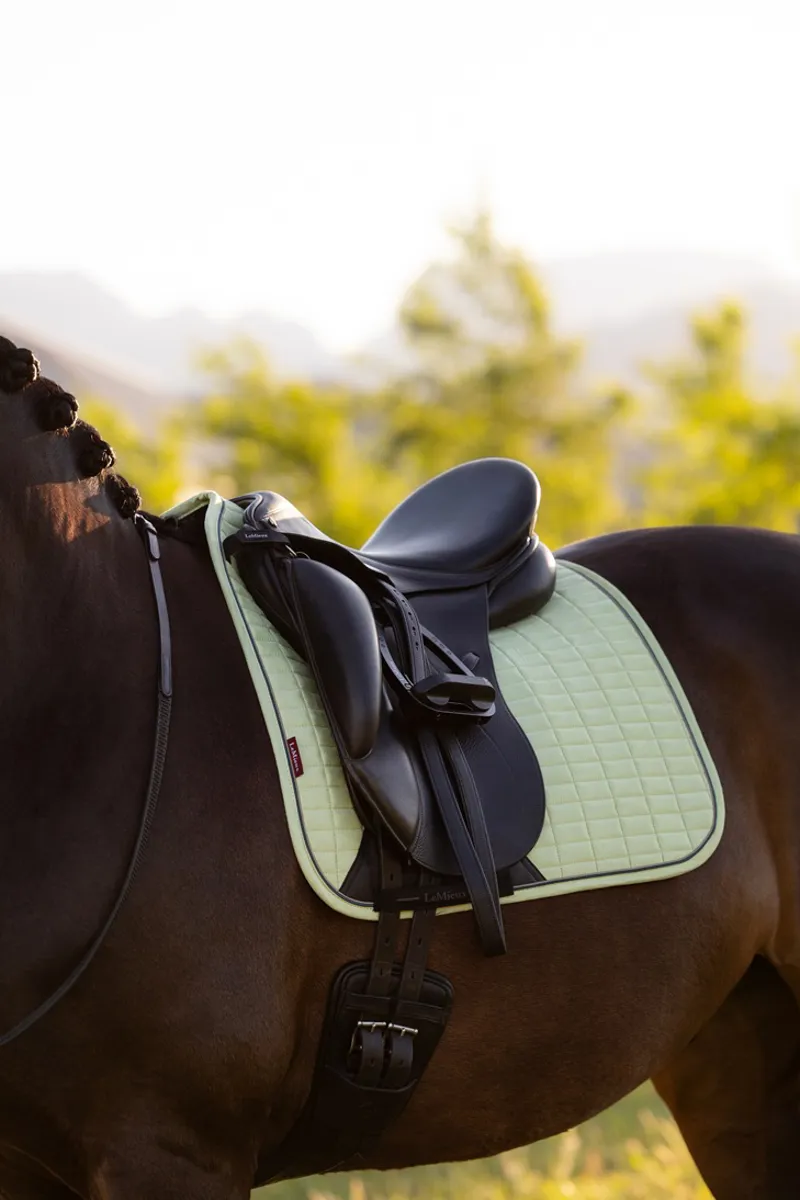 LeMieux Suede Dressage Square in Macaron-2