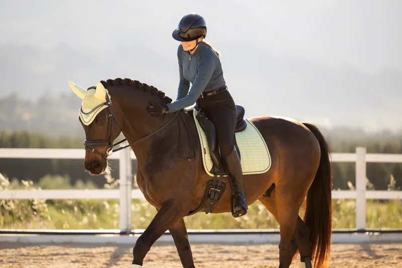 LeMieux Suede Dressage Square in Macaron-3