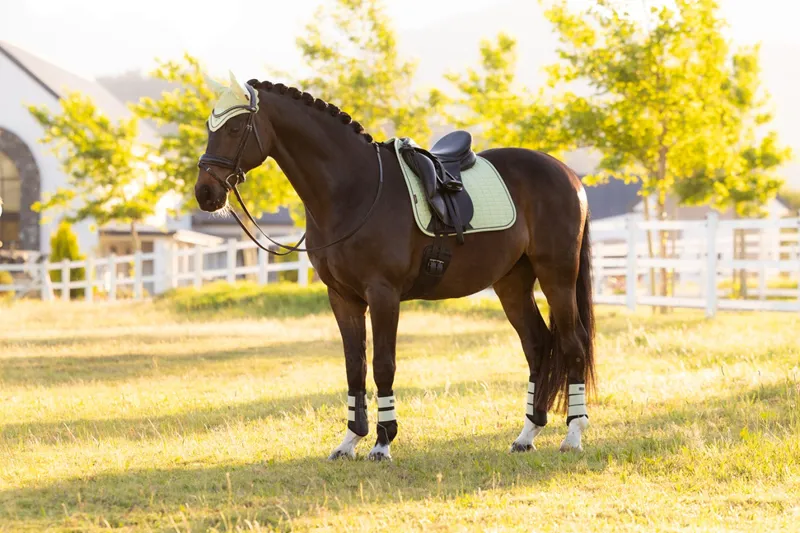 LeMieux Suede Dressage Square in Macaron-1