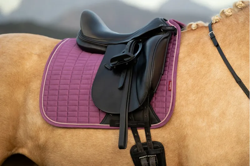 LeMieux Suede Dressage Square in Mallow-3