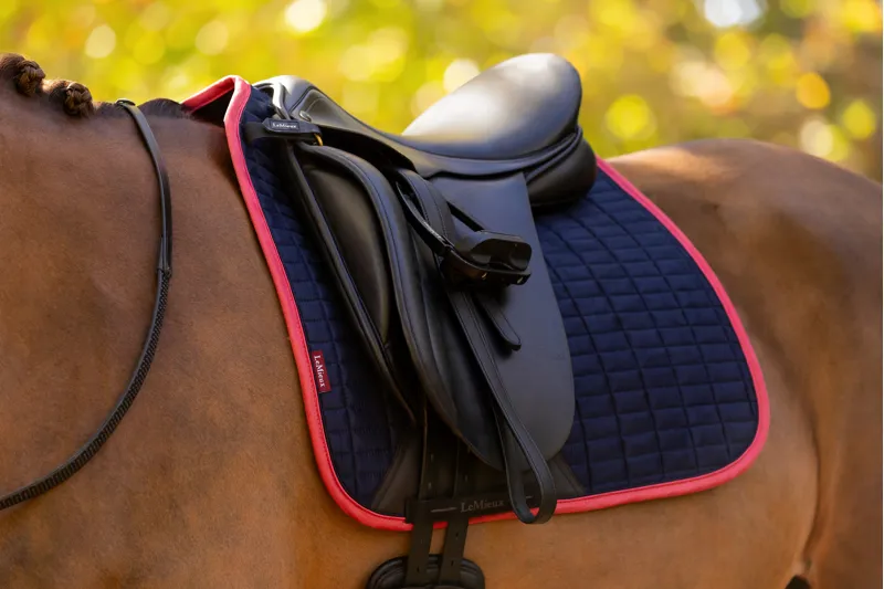 LeMieux Classic Suede Dressage Square in Navy and Cranberry-1