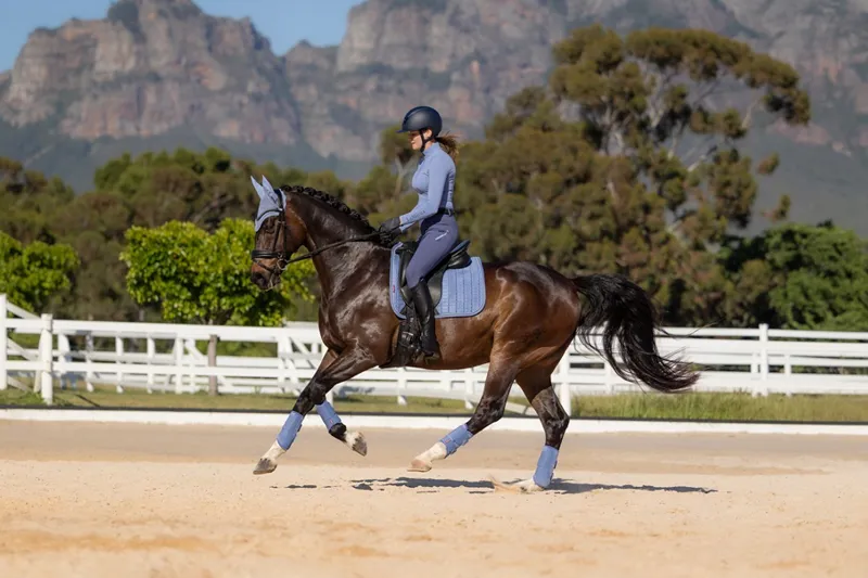 LeMieux Suede Dressage Square in Powder Blue-4