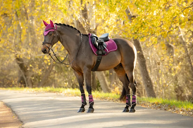 LeMieux Suede GP Saddle Pad in Blackberry-5
