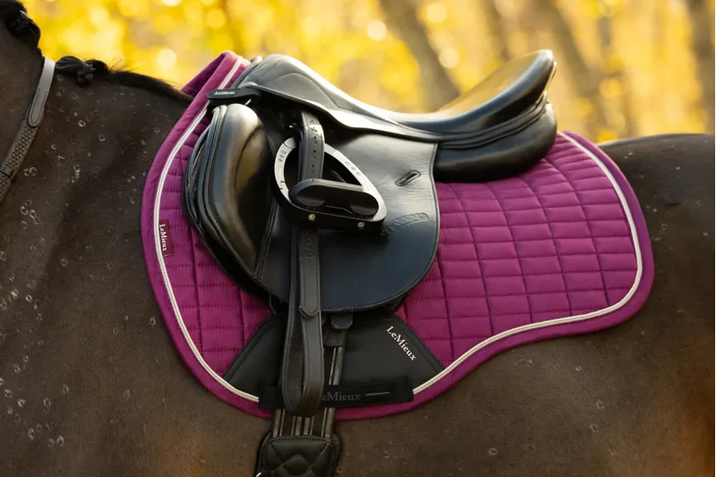 LeMieux Suede GP Saddle Pad in Blackberry-4