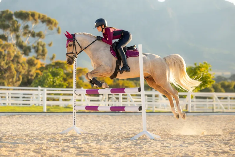 LeMieux Suede GP Saddle Pad in Blackberry-1
