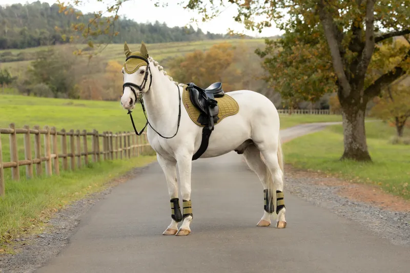 LeMieux Suede GP Saddle Pad in Gooseberry-1