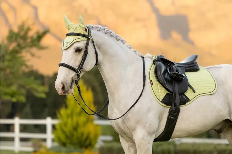 LeMieux Suede GP Square in Macaron-3