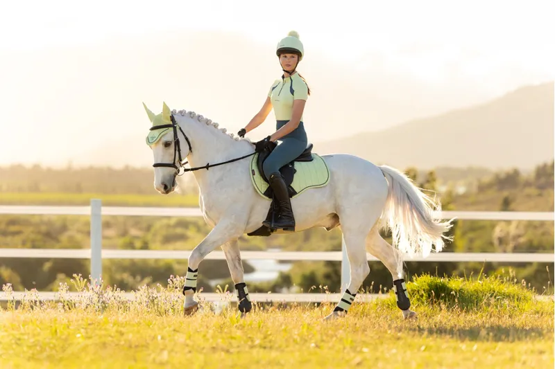 LeMieux Suede GP Square in Macaron-2