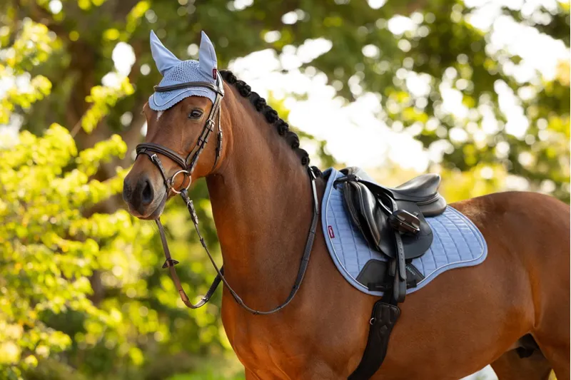 LeMieux Suede GP Square in Powder Blue-2