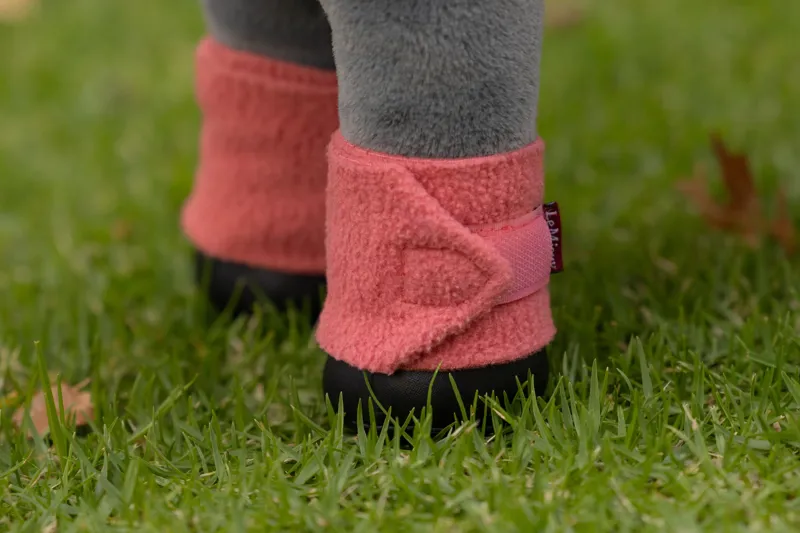 LeMieux Toy Pony Bandages in Spiced Earth-1