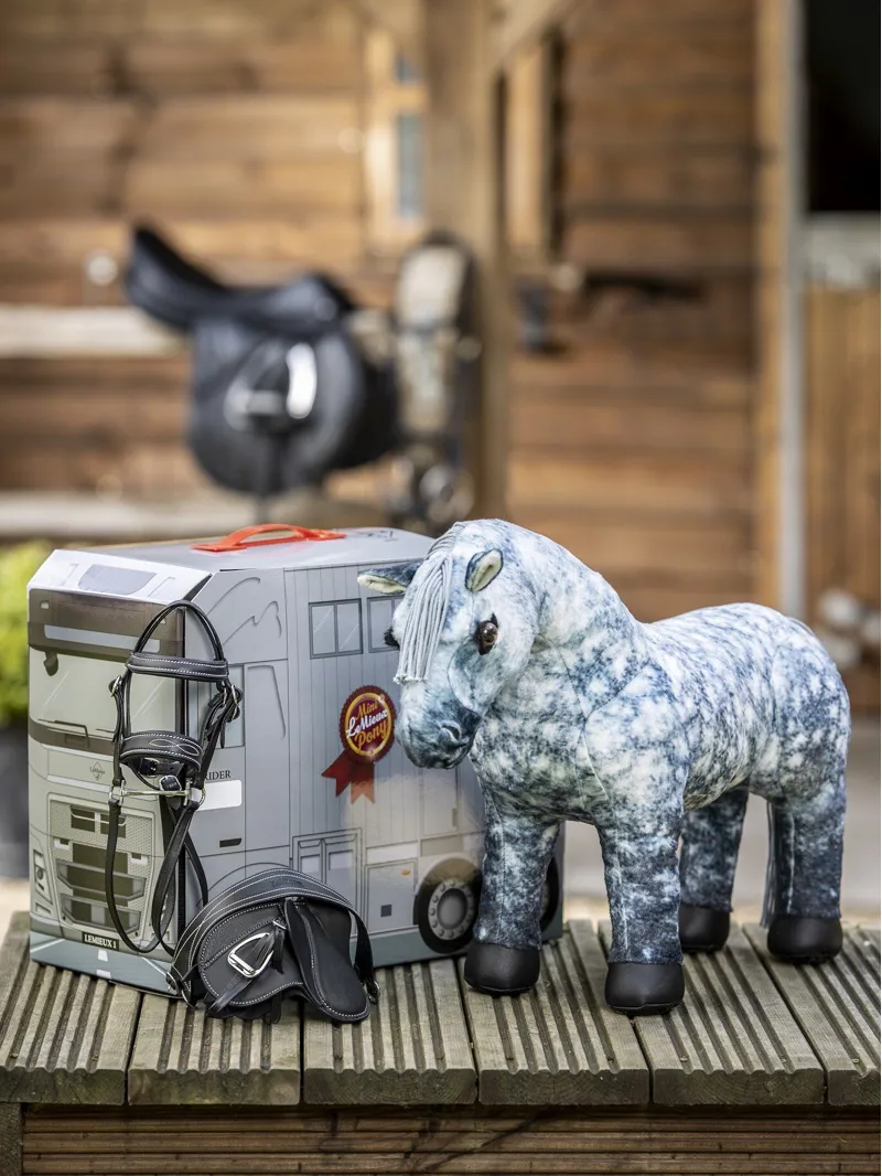 LeMieux Toy Pony Reversible Carry Case-4