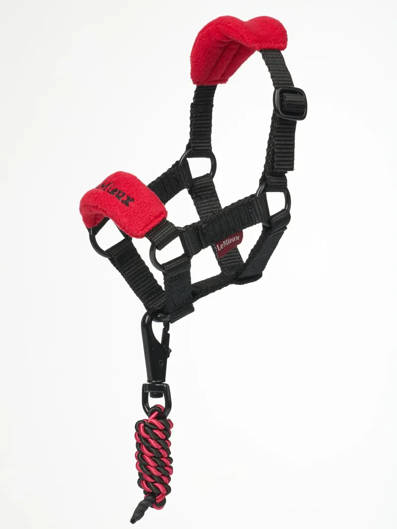 LeMieux Toy Pony Headcollar Set in Chilli