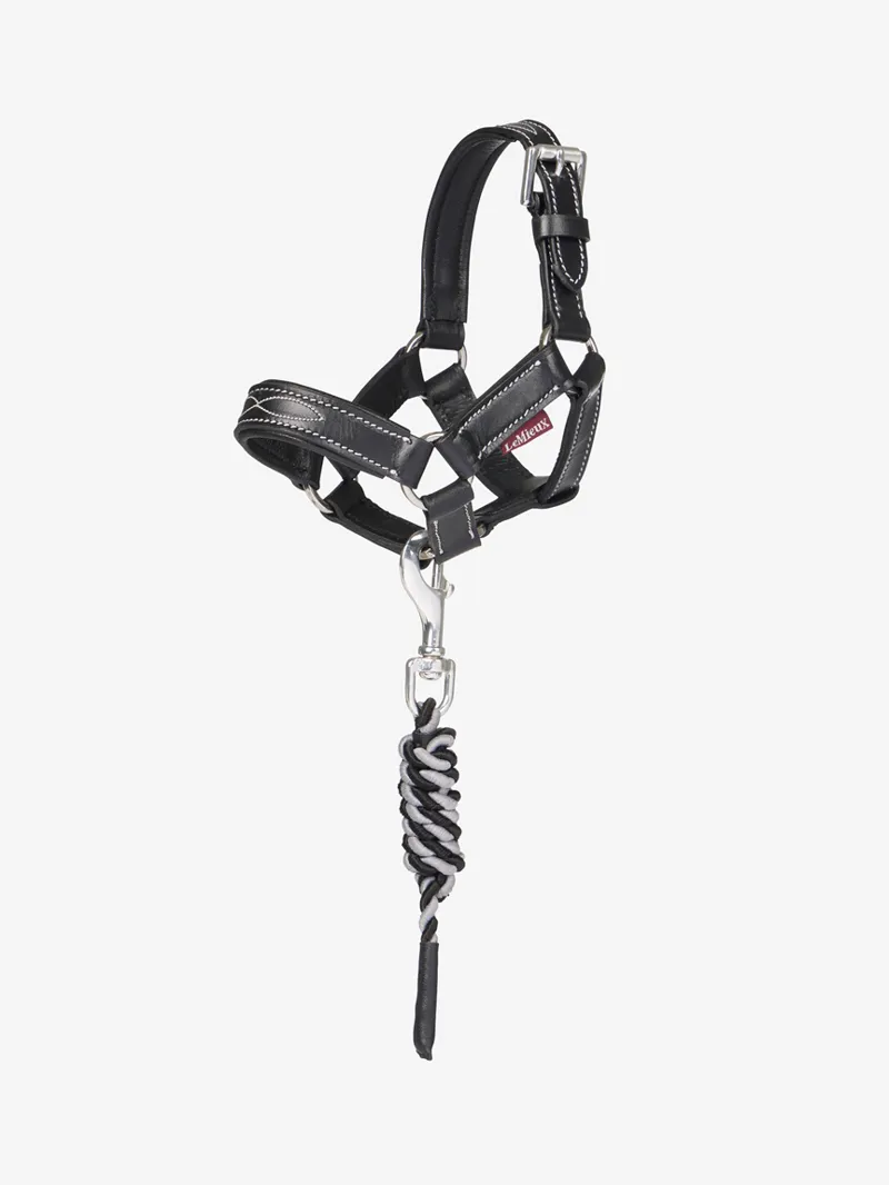 LeMieux Toy Pony Leather Headcollar Set in Black