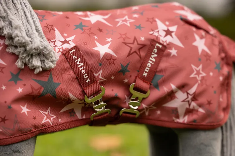 LeMieux Toy Pony Printed Turnout Rug in Spiced Earth-1
