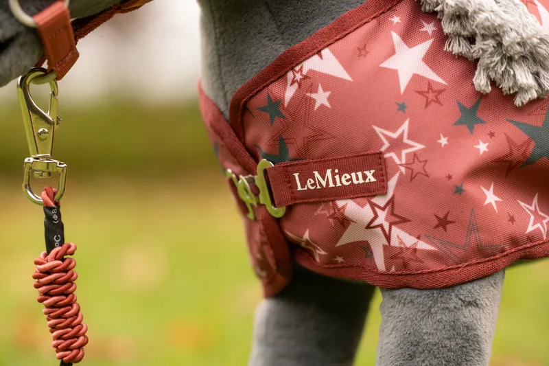 LeMieux Toy Pony Printed Turnout Rug in Spiced Earth-2