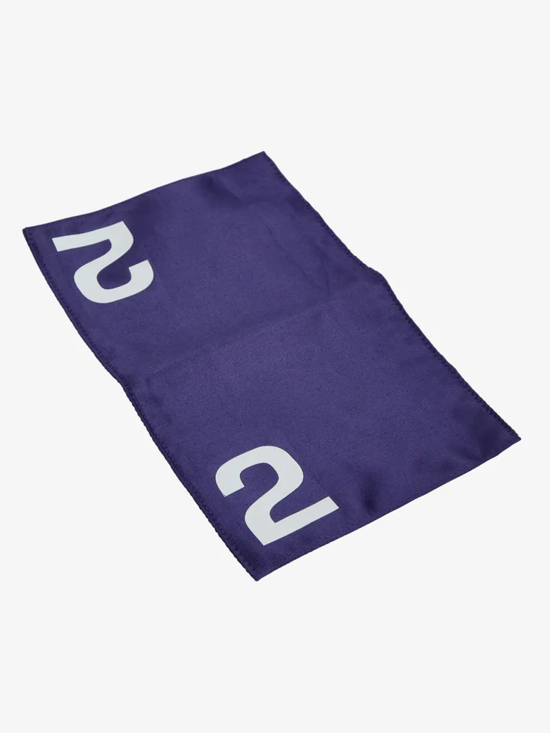 LeMieux Toy Pony Racing Cloth and Mask-3