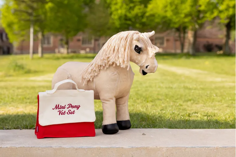 LeMieux Toy Pony Vet Set-2