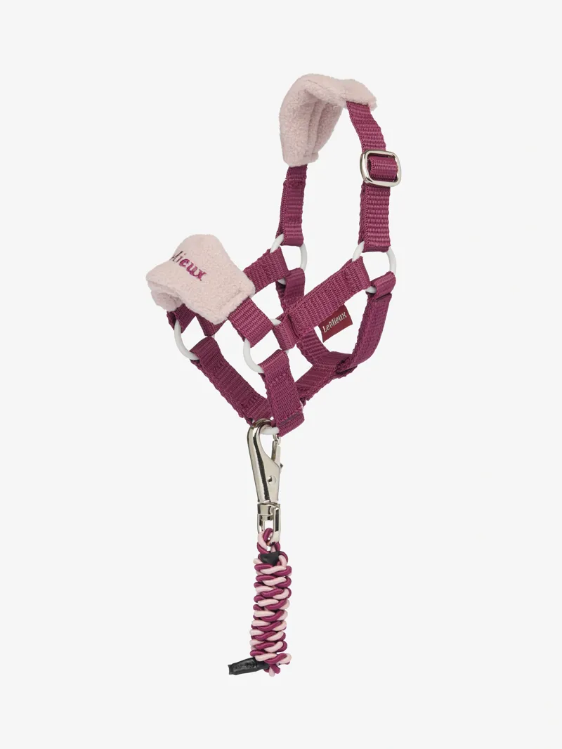 LeMieux Toy Pony Vogue Headcollar and Leadrope Set in Blackberry