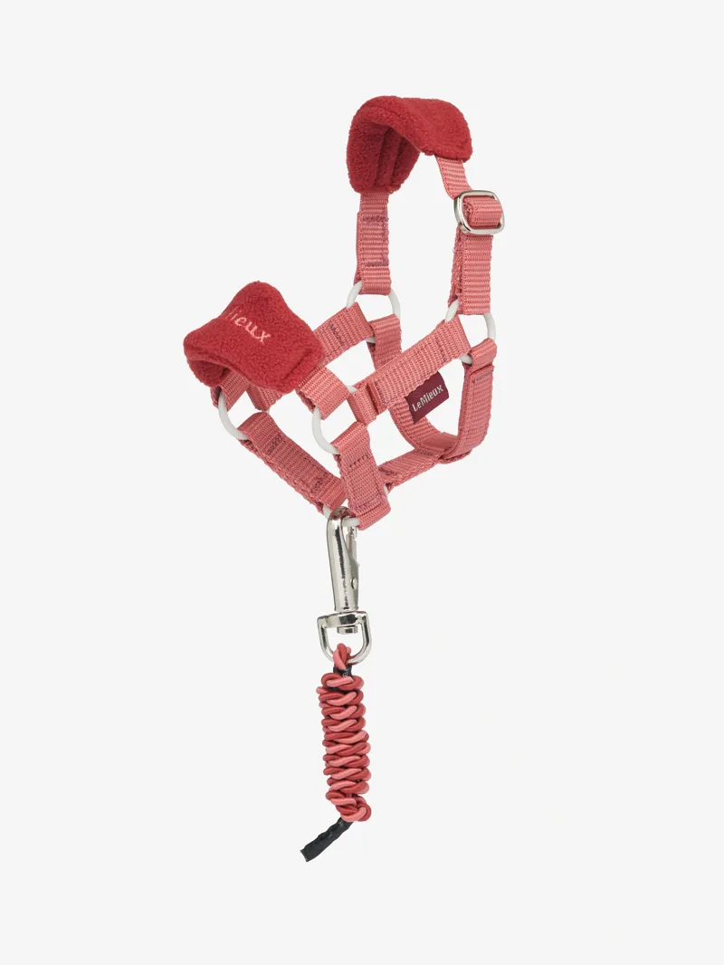 LeMieux Toy Pony Vogue Headcollar and Leadrope Set in Spiced Earth