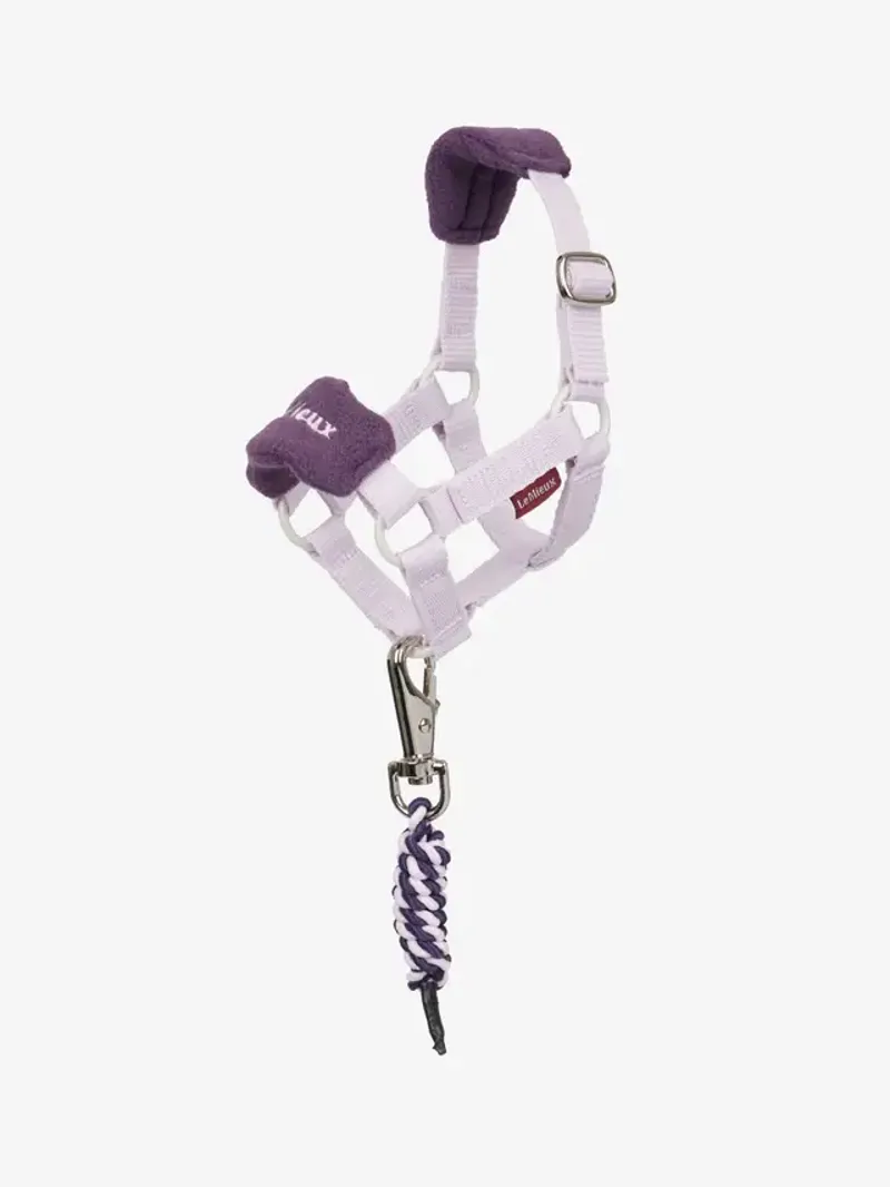 LeMieux Toy Pony Vogue Headcollar Set in Lilac