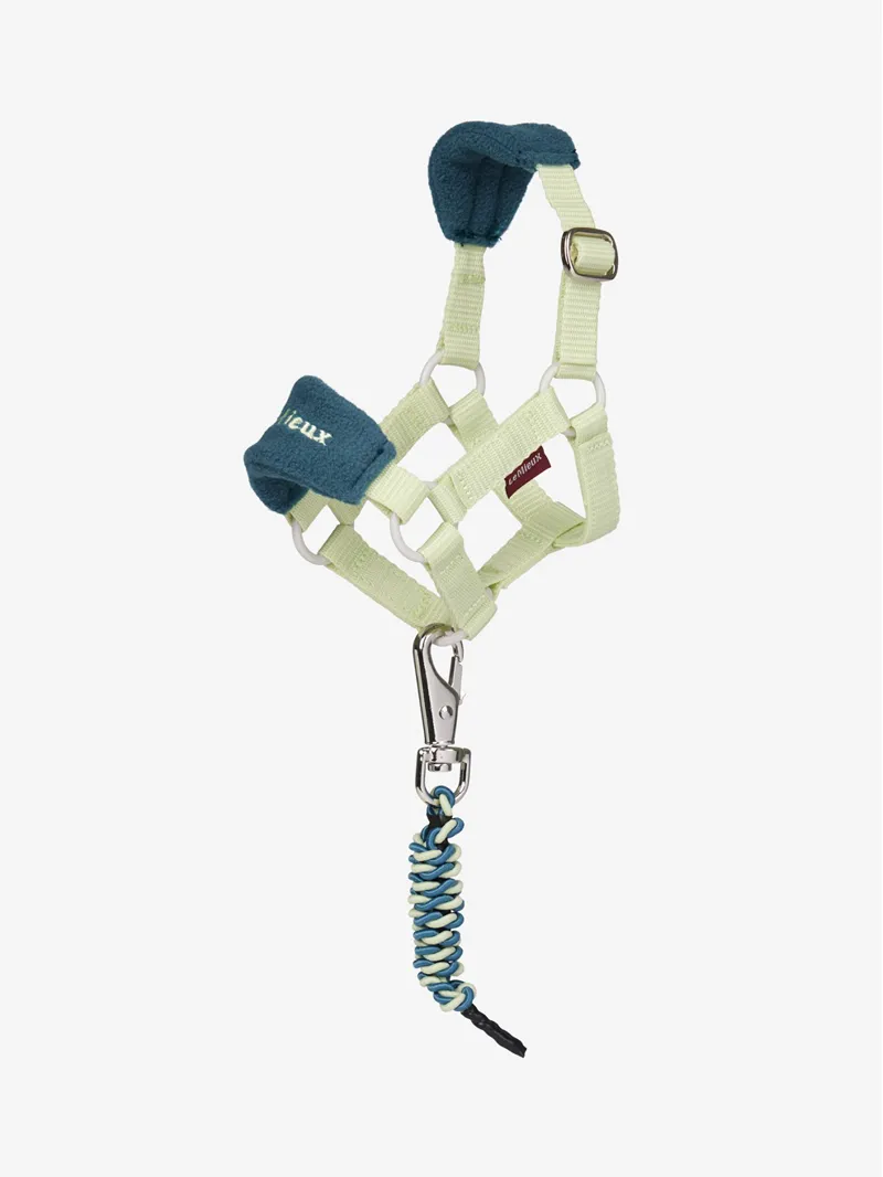 LeMieux Toy Pony Vogue Headcollar Set in Macaron