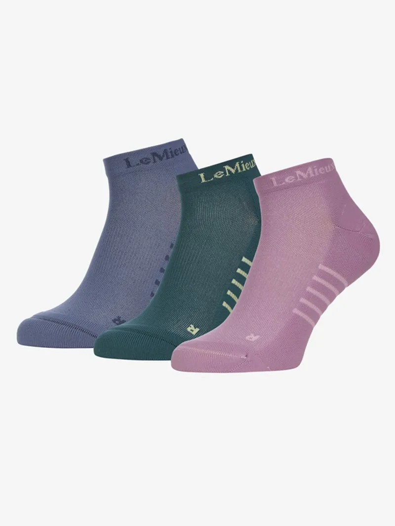 LeMieux Trainer Sock Multi 3 Pack Ladies