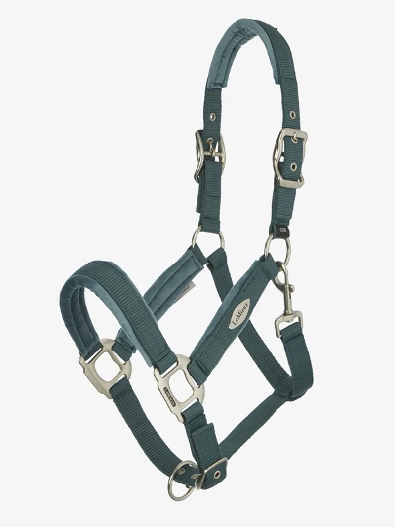 LeMieux Versailles Headcollar in Jungle