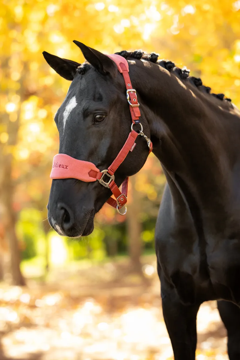 LeMieux Vogue Headcollar Set in Russet-1