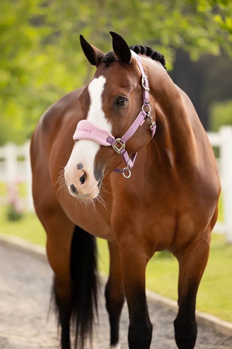 LeMieux Vogue Headcollar Set in Mallow-1