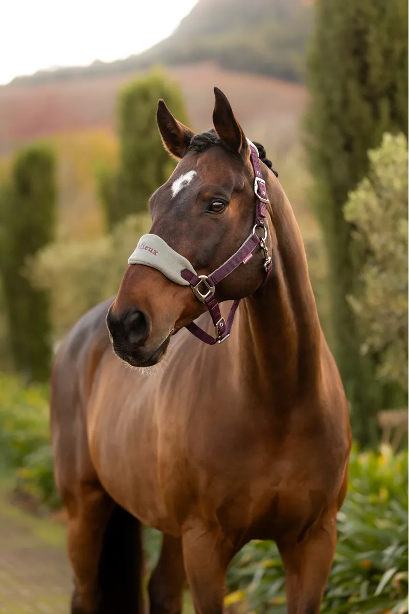 LeMieux Vogue Headcollar Set in Damson and Rosemary-1