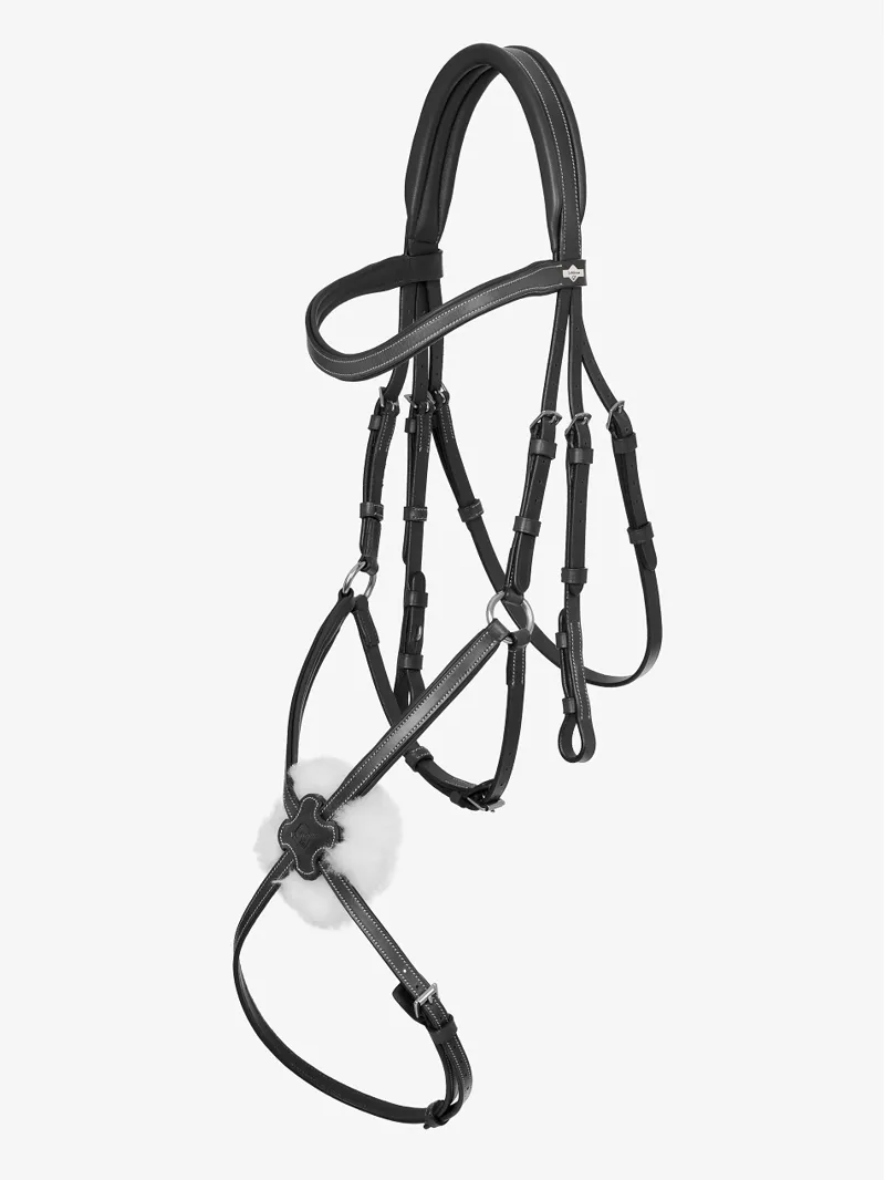 LeMieux Arika Grackle Bridle in Black and Silver-2