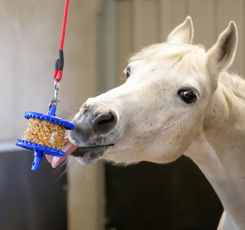 Likit Granola Apple