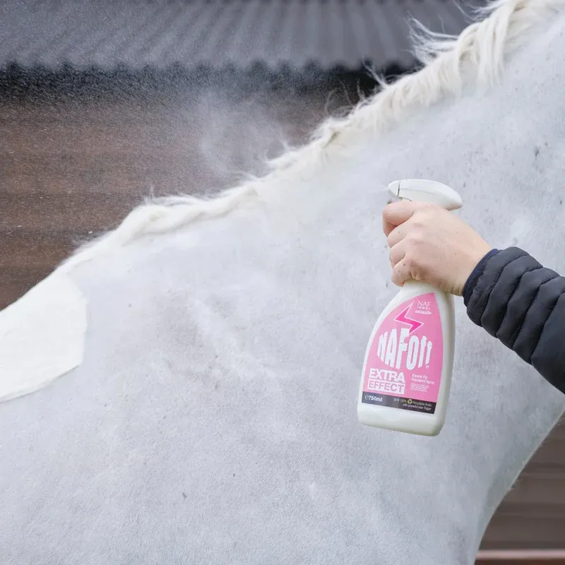 NAF Off Extra Effect Fly Repellent 750ml-1